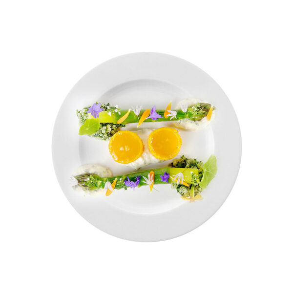 Starter with Apricots